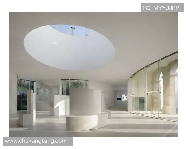 北京大学与高雄的学术交流与文化碰撞探讨